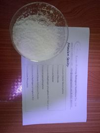 Potassium Sorbate USP/EP